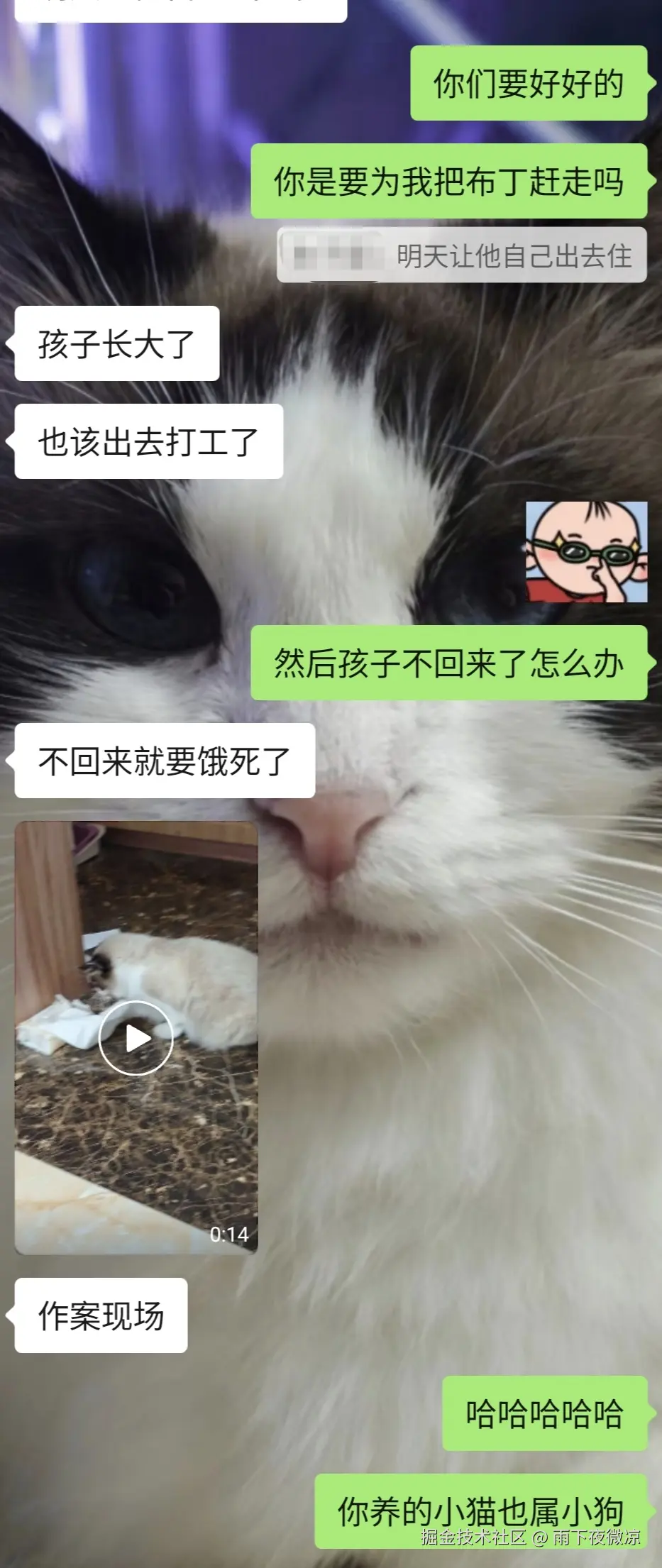 雨下夜微凉于2026-04-13 08:51发布的图片