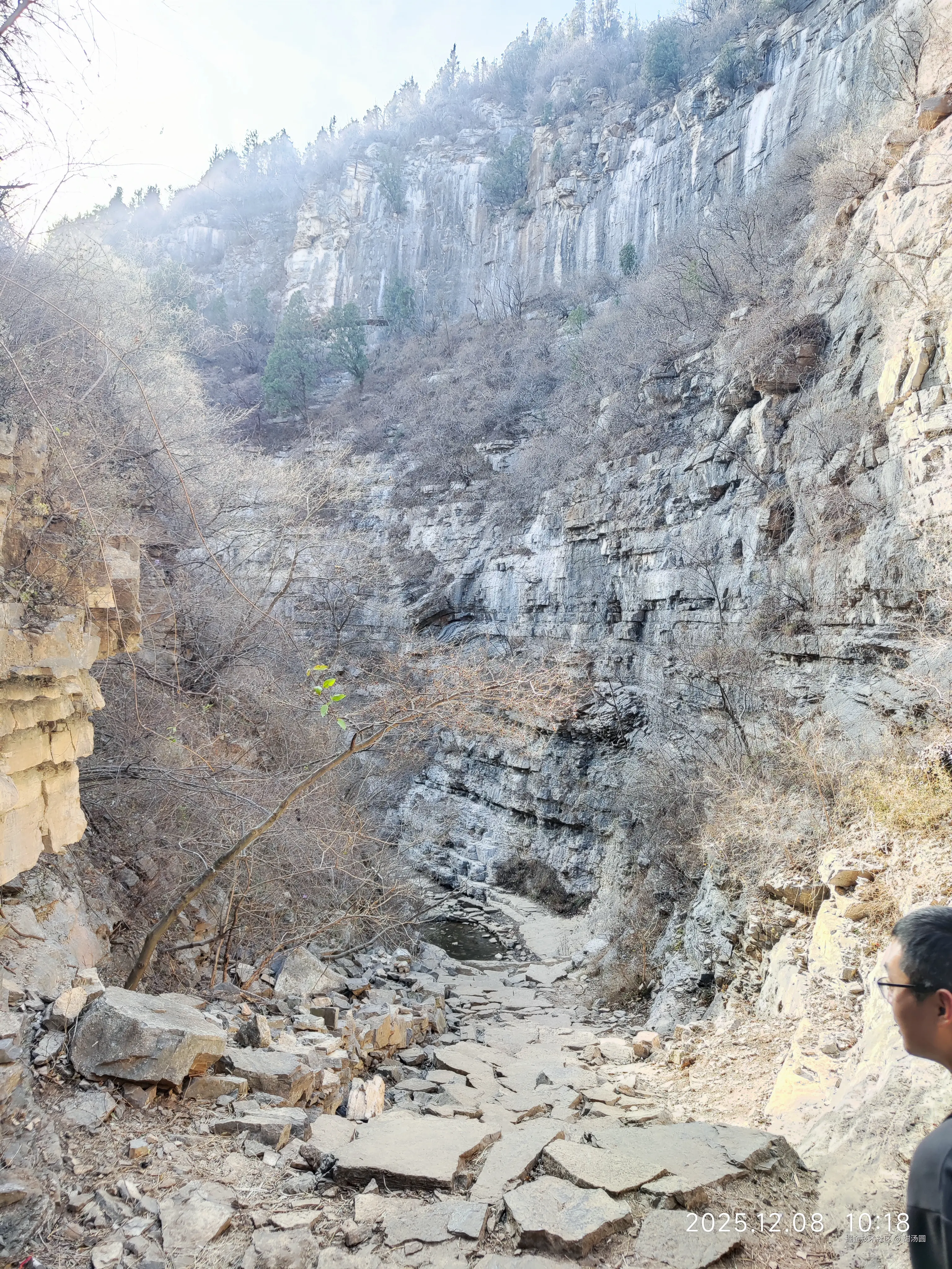 甜汤圆于2025-12-08 12:09发布的图片