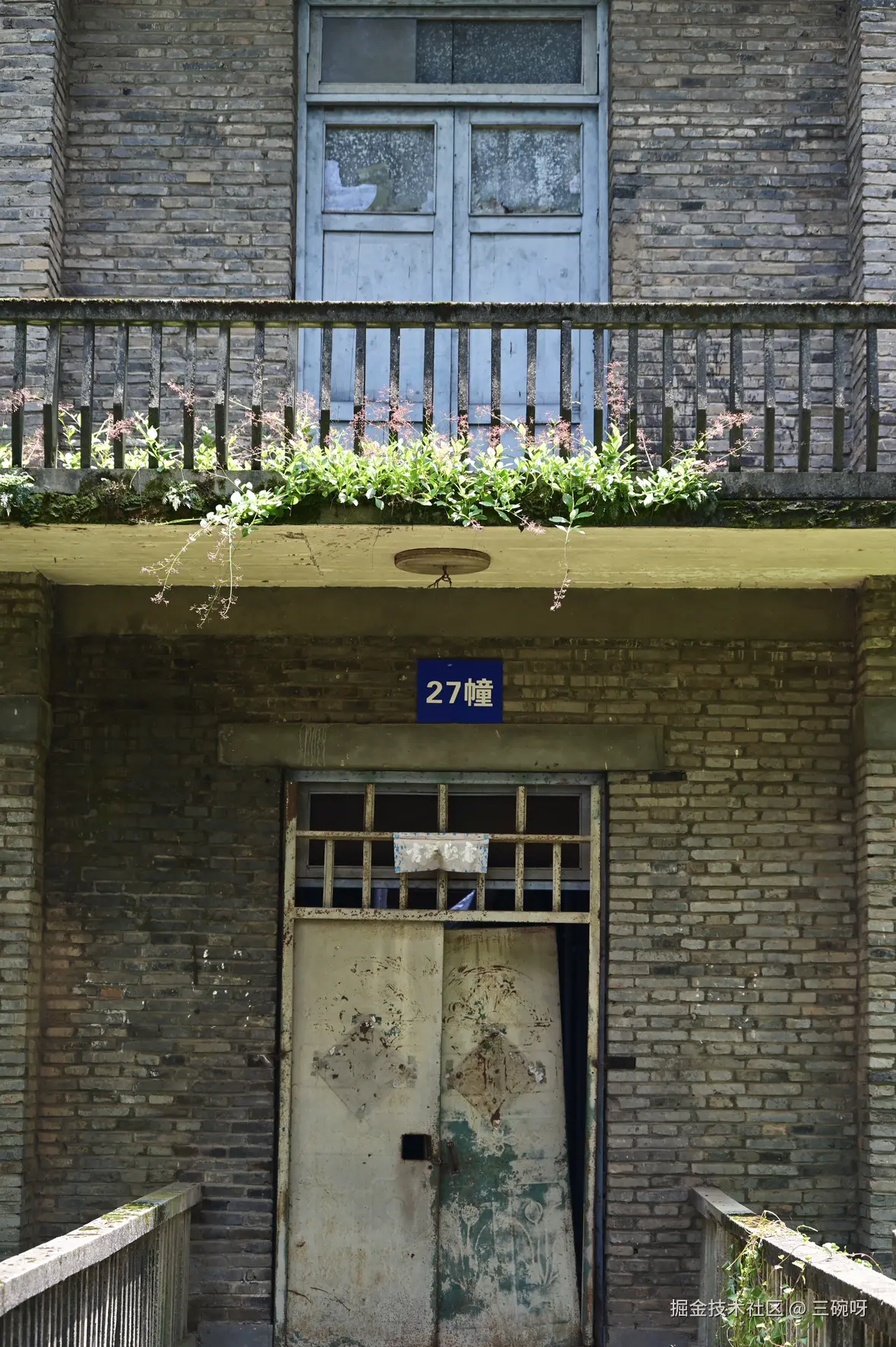 三碗呀于2025-07-28 10:00发布的图片