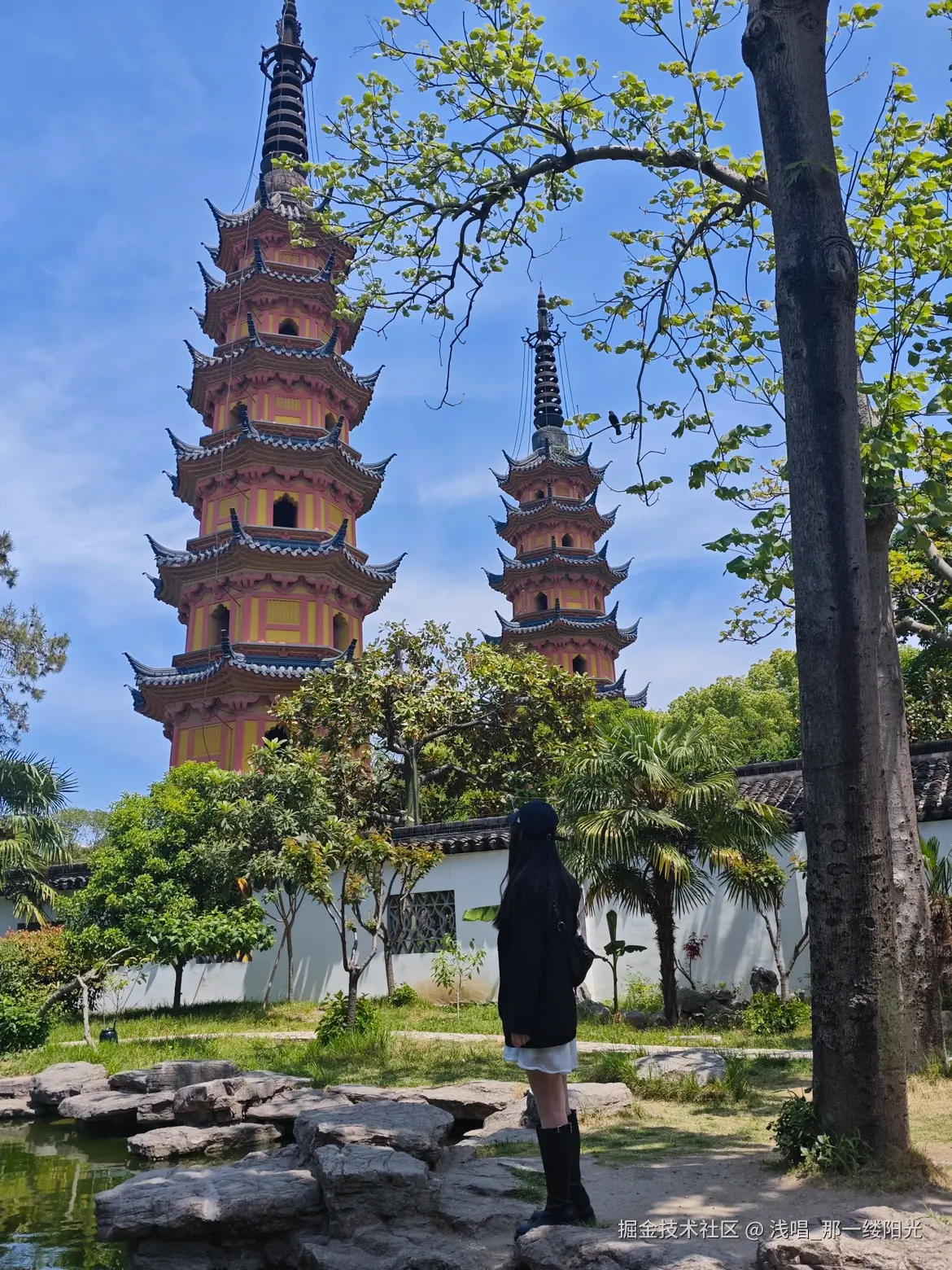 浅唱_那一缕阳光于2025-04-22 09:53发布的图片