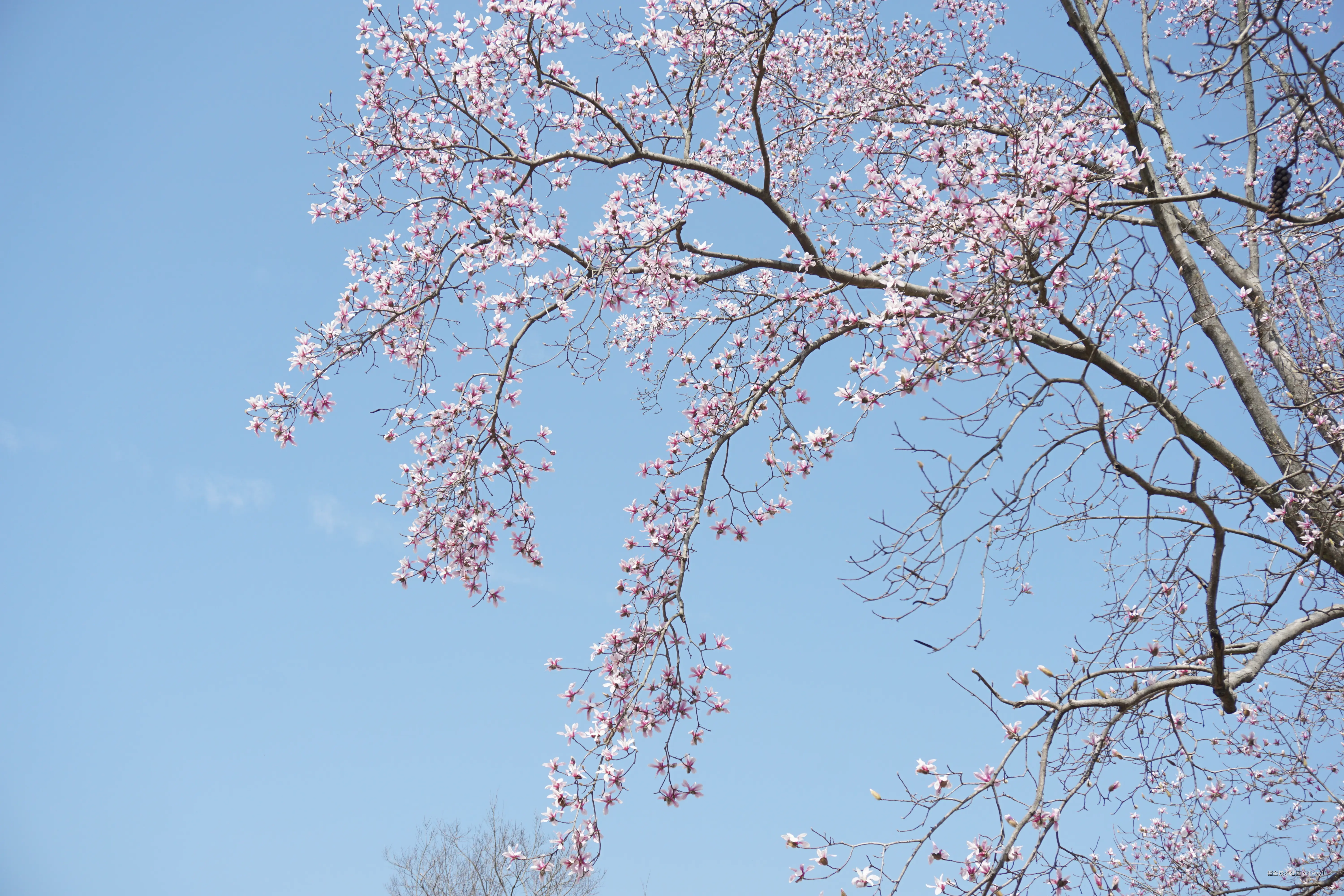 Levy1于2025-03-03 09:21发布的图片