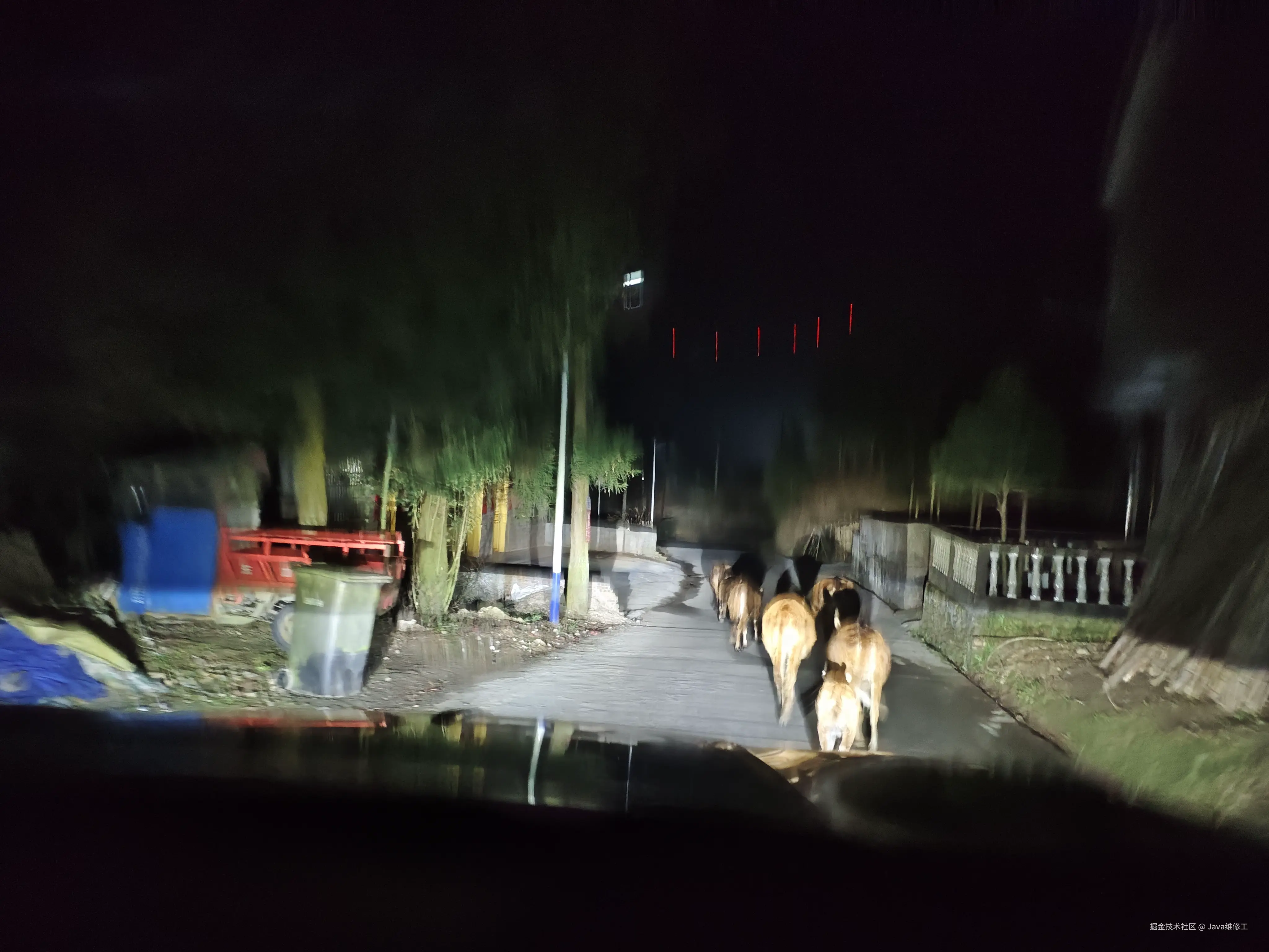 Java维修工于2026-02-24 15:15发布的图片