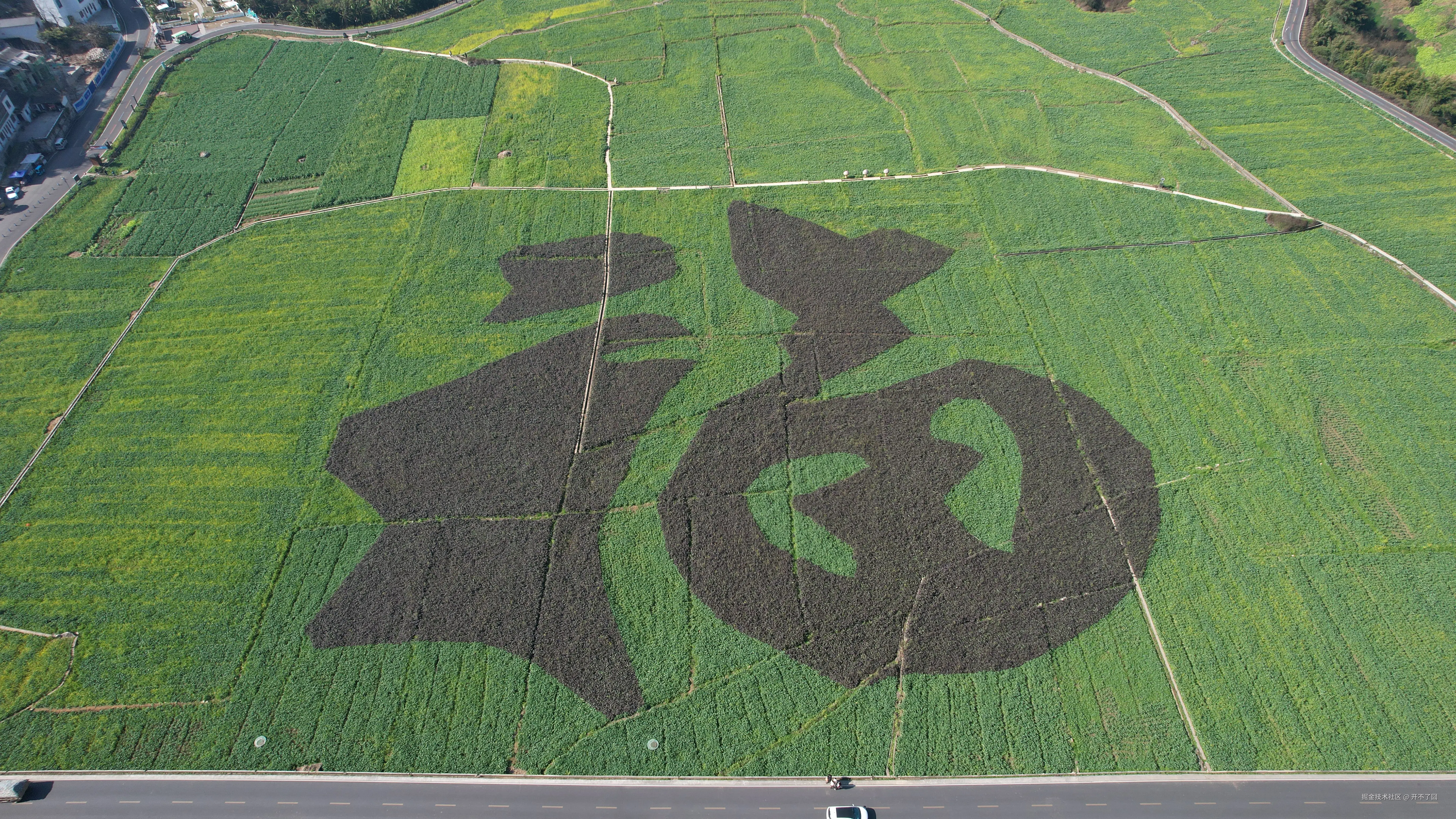 开不了囧于2025-01-27 14:38发布的图片