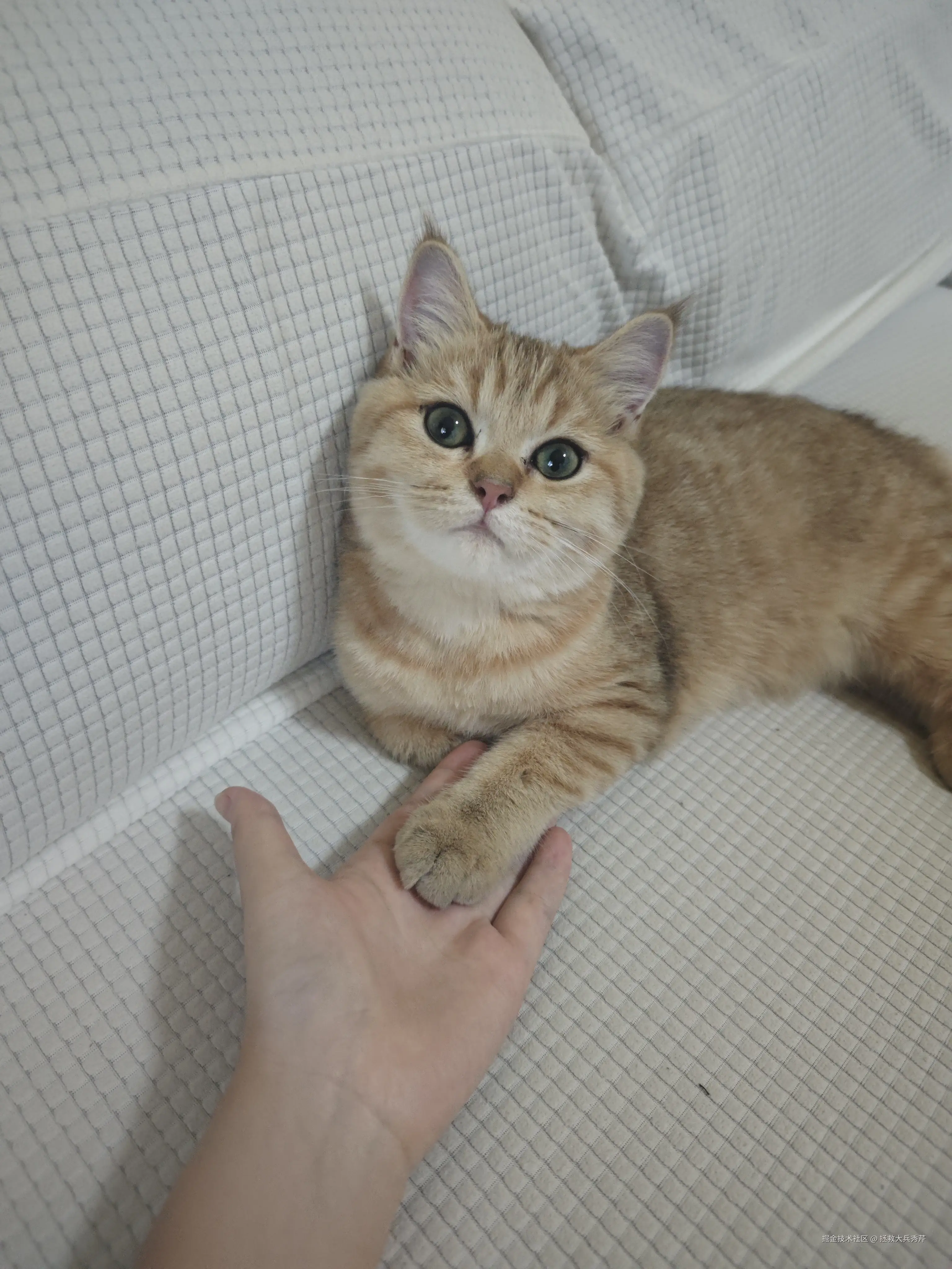 拯救大兵秀芹于2024-11-22 11:46发布的图片