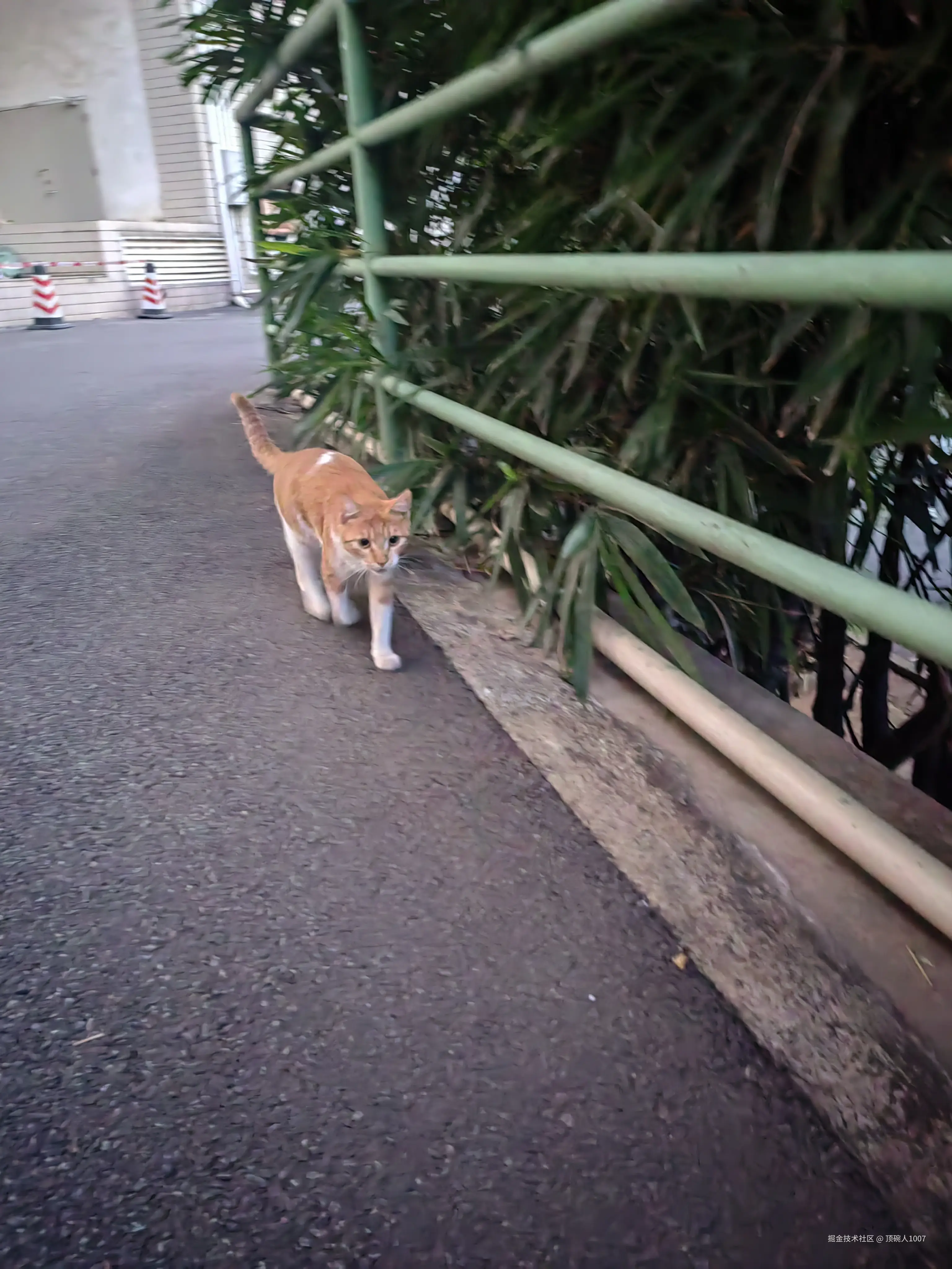 顶碗人1007于2024-12-04 00:01发布的图片