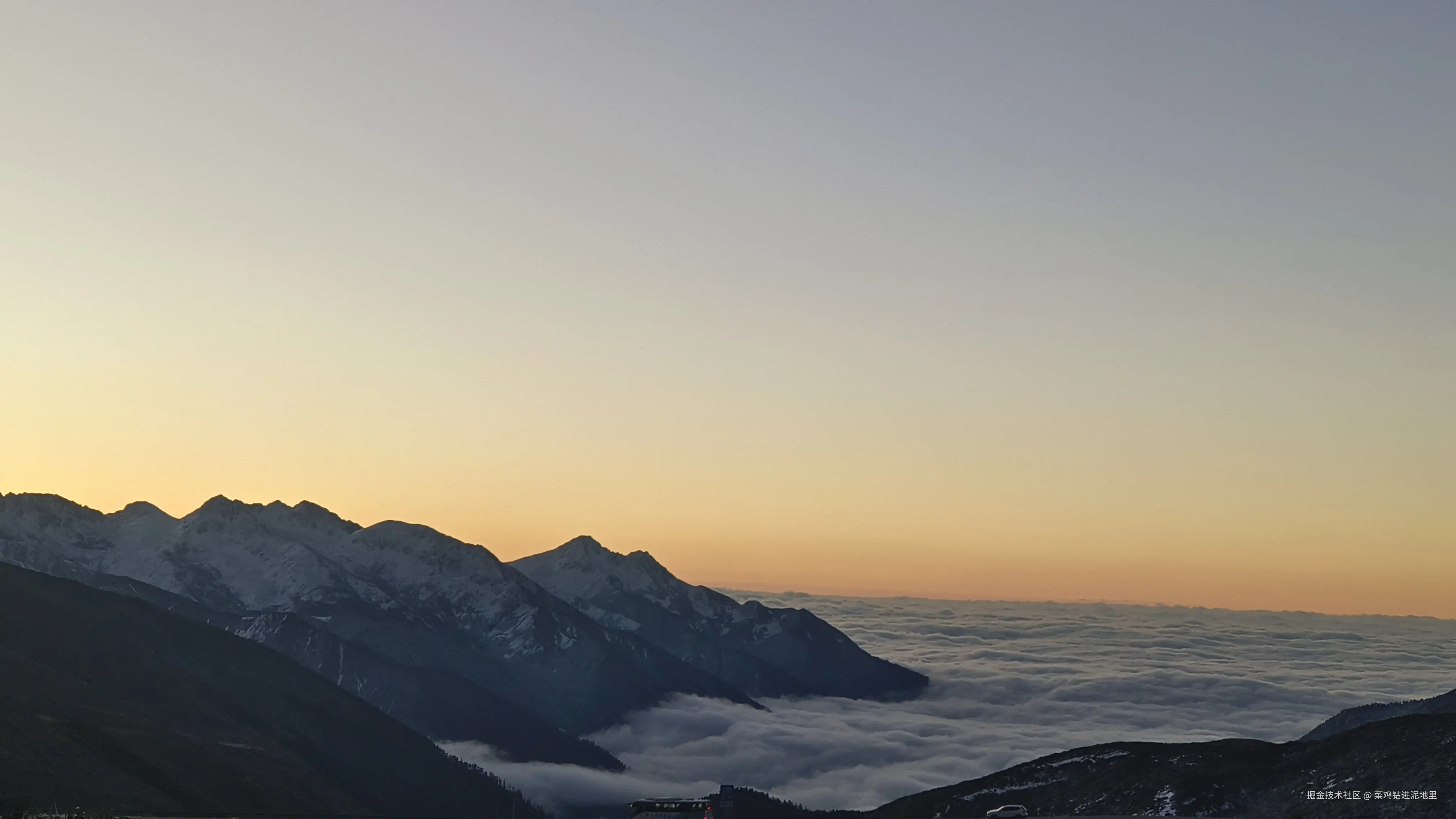 菜鸡钻进泥地里于2025-11-17 09:24发布的图片