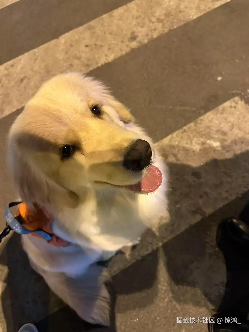 惊鸿_于2025-04-24 10:07发布的图片