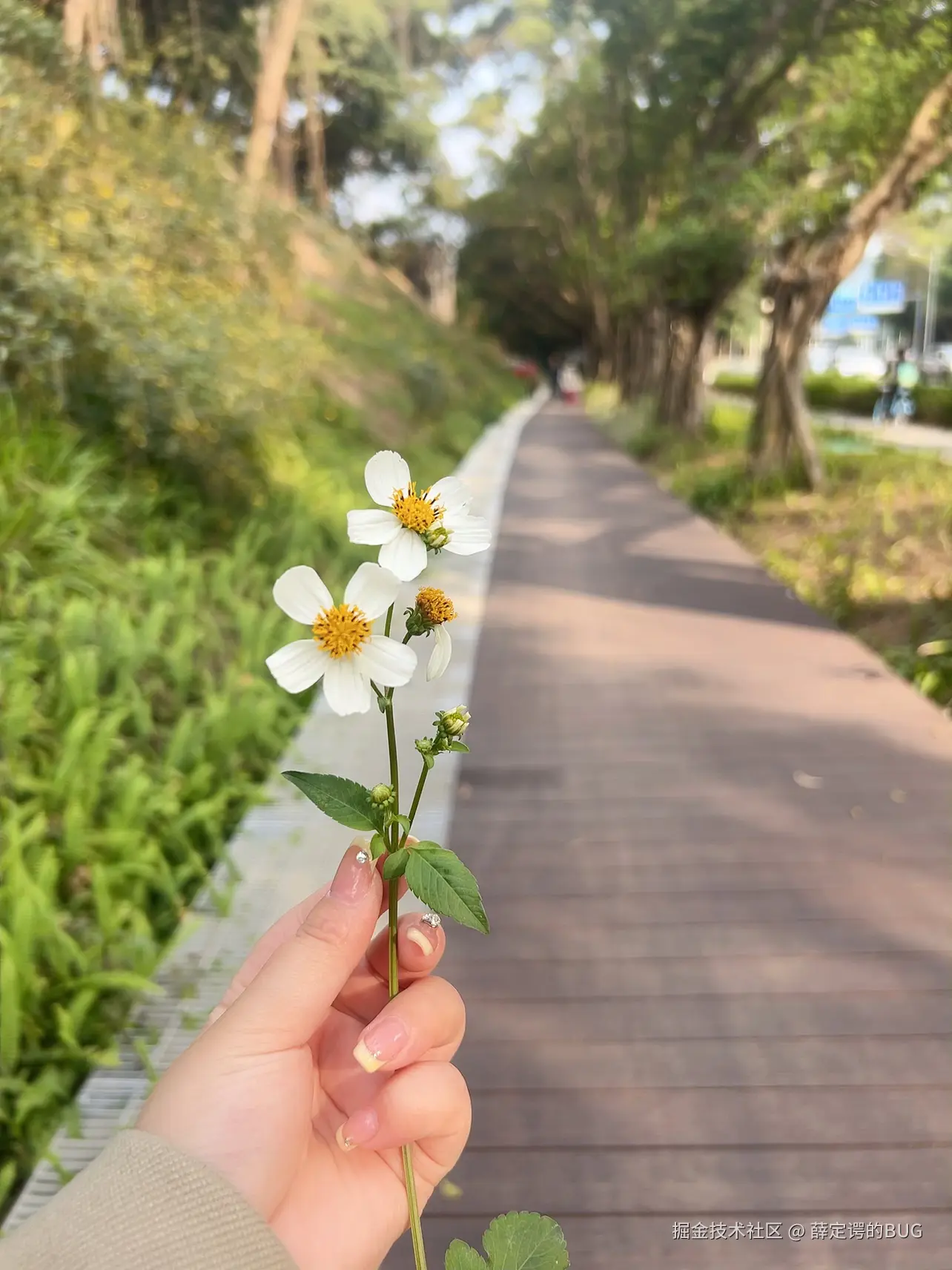 薛定谔的BUG于2025-03-10 08:09发布的图片