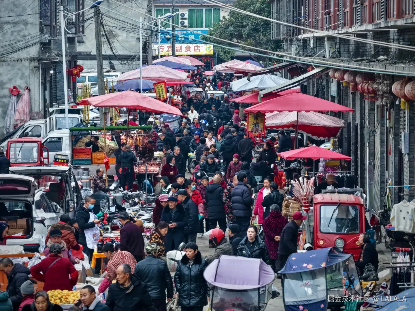 LALALA于2026-02-15 11:40发布的图片