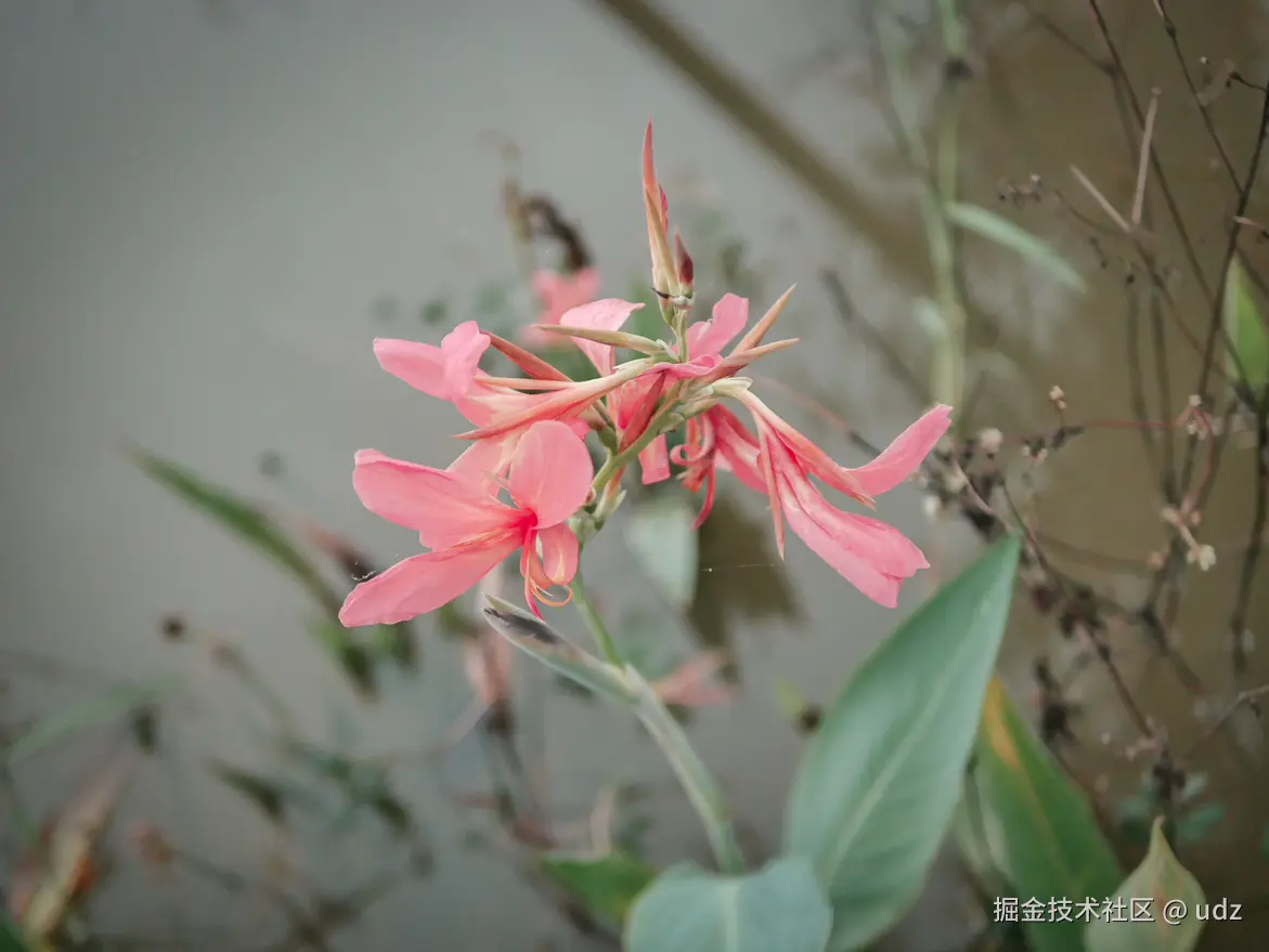 udz于2024-12-20 09:14发布的图片