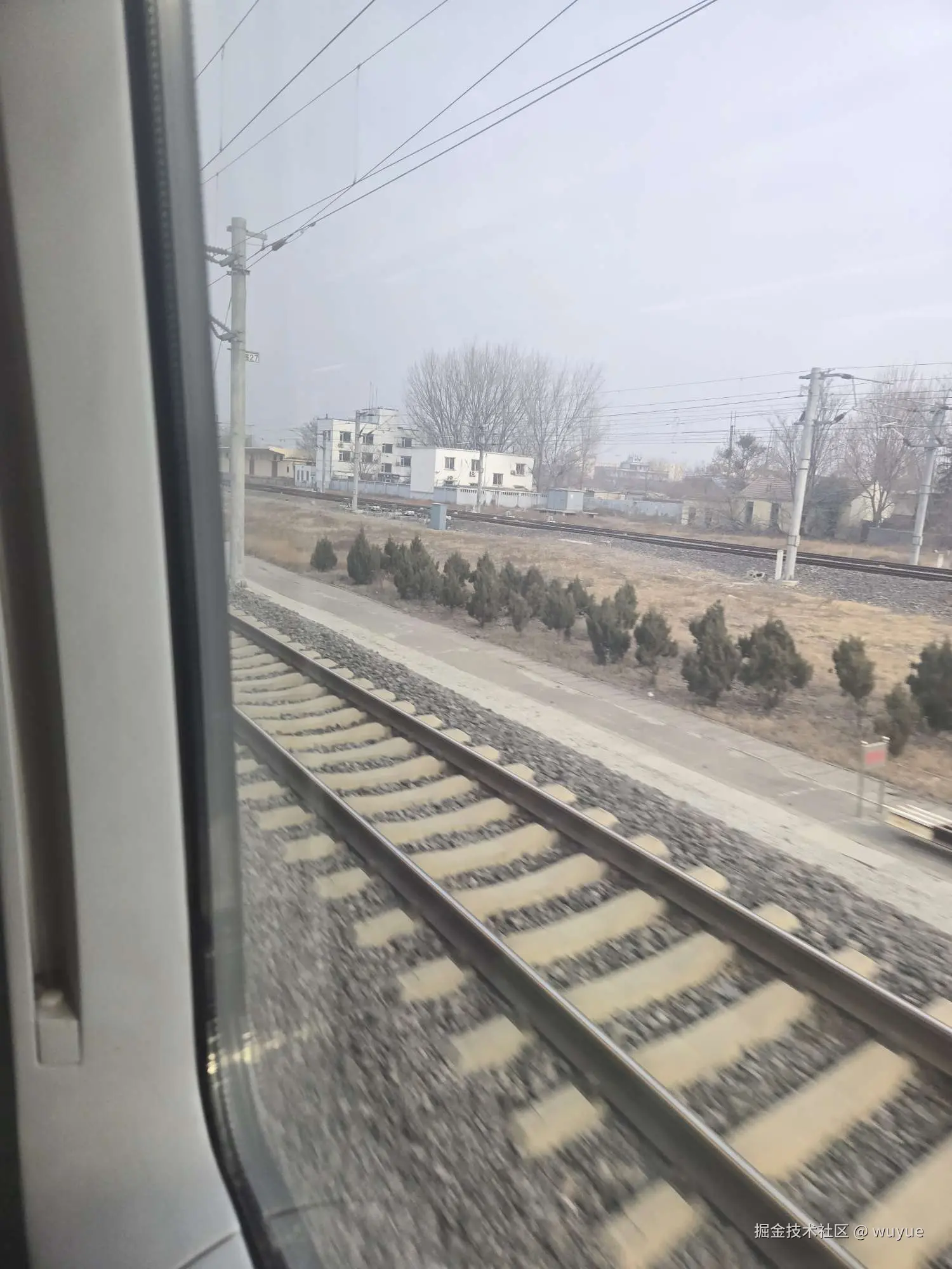 wuyue于2025-01-25 09:55发布的图片