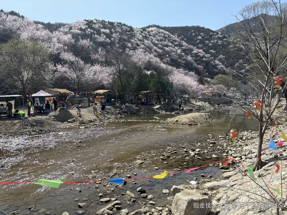 这个名字贼难起于2025-03-28 09:15发布的图片