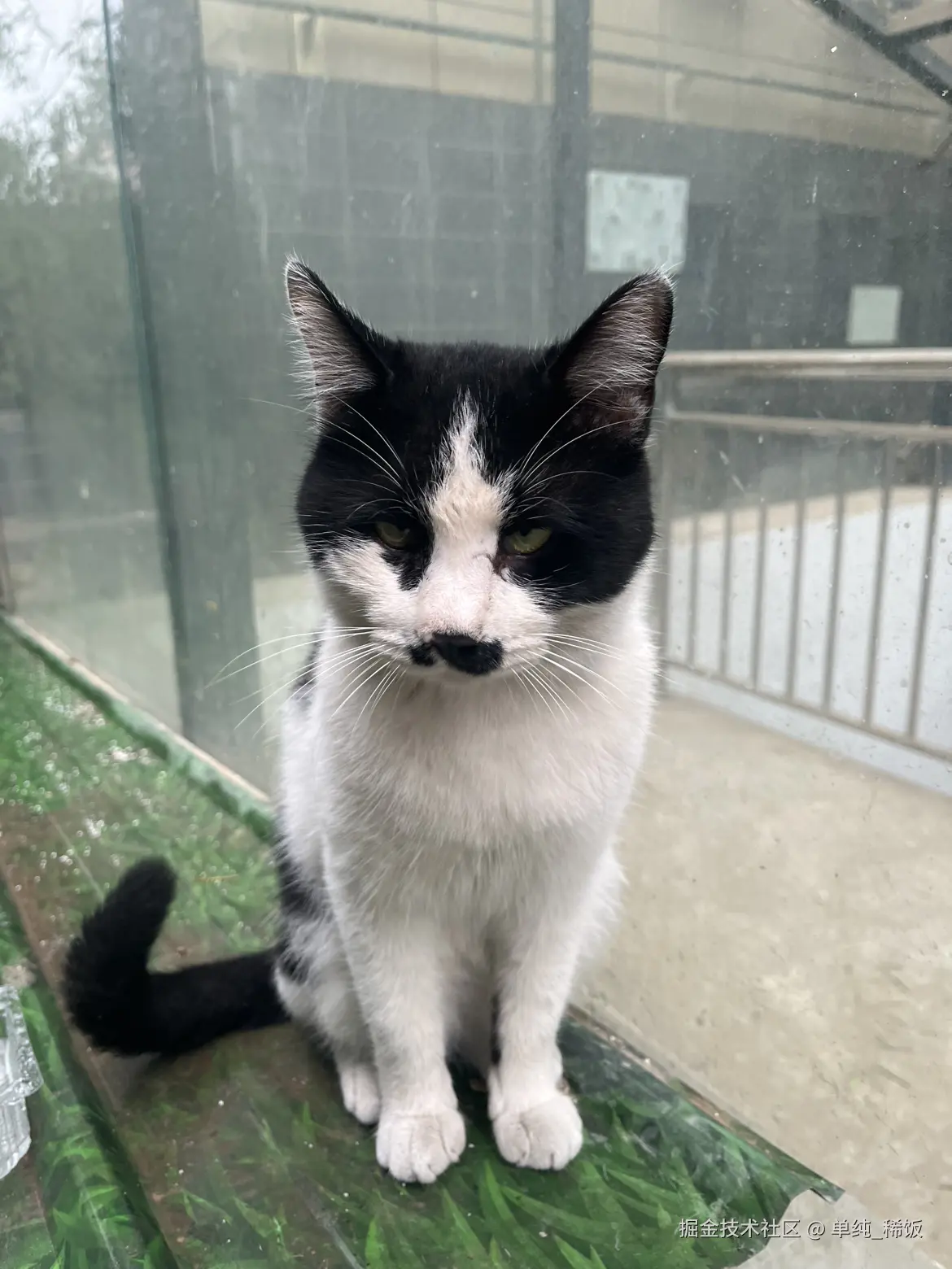 单纯_稀饭于2025-09-10 08:17发布的图片