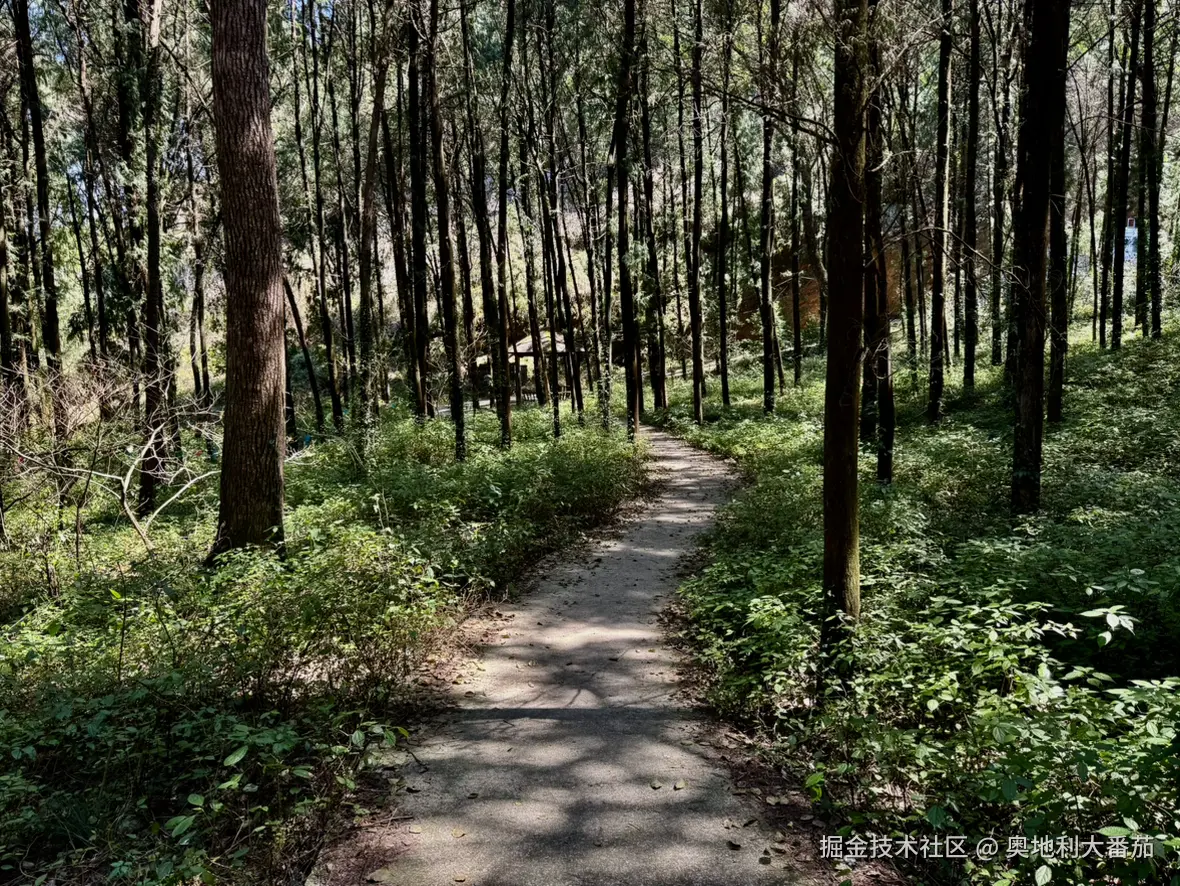 奥地利大番茄于2025-03-24 10:28发布的图片