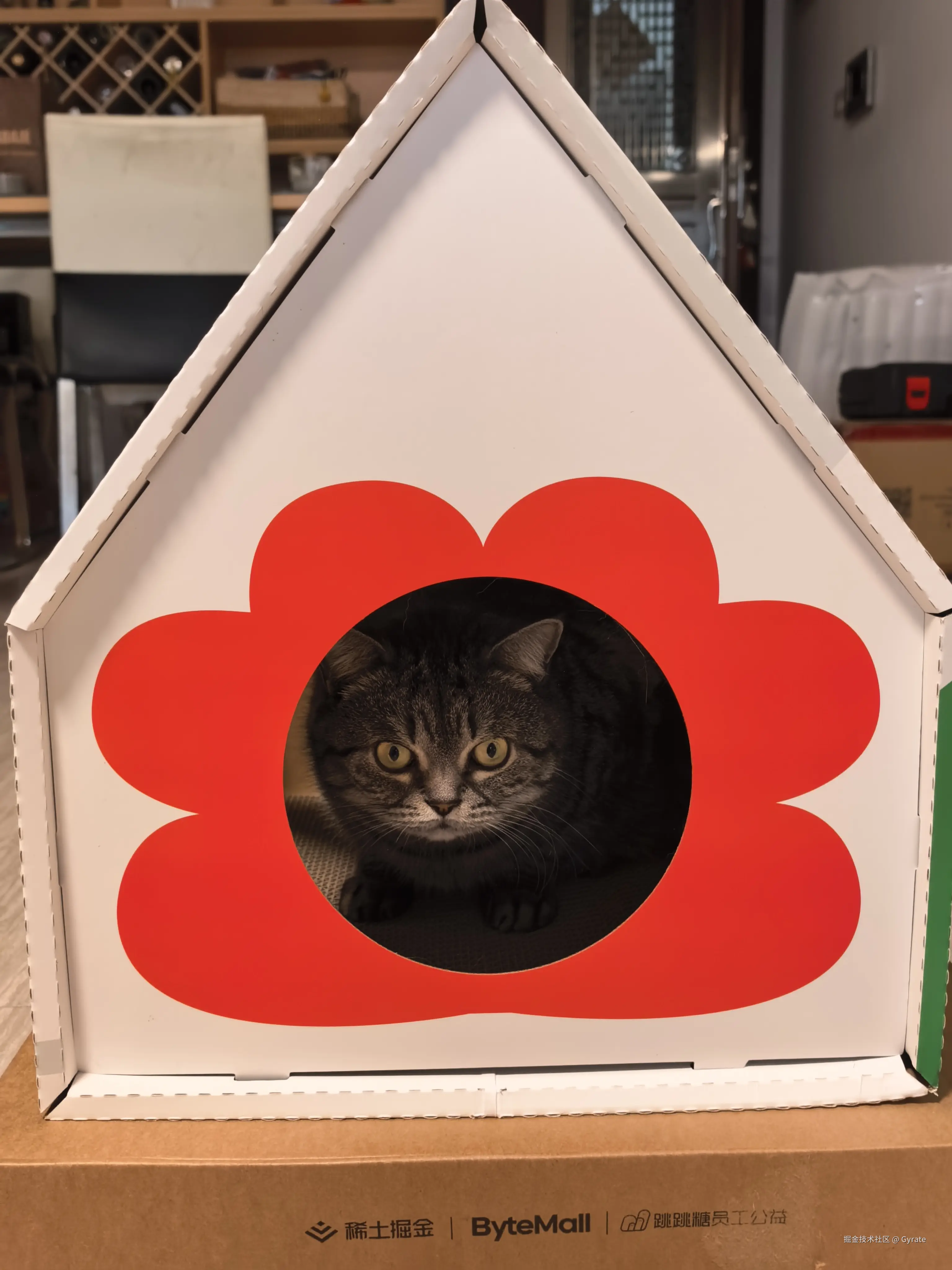 Gyrate于2026-03-11 22:23发布的图片