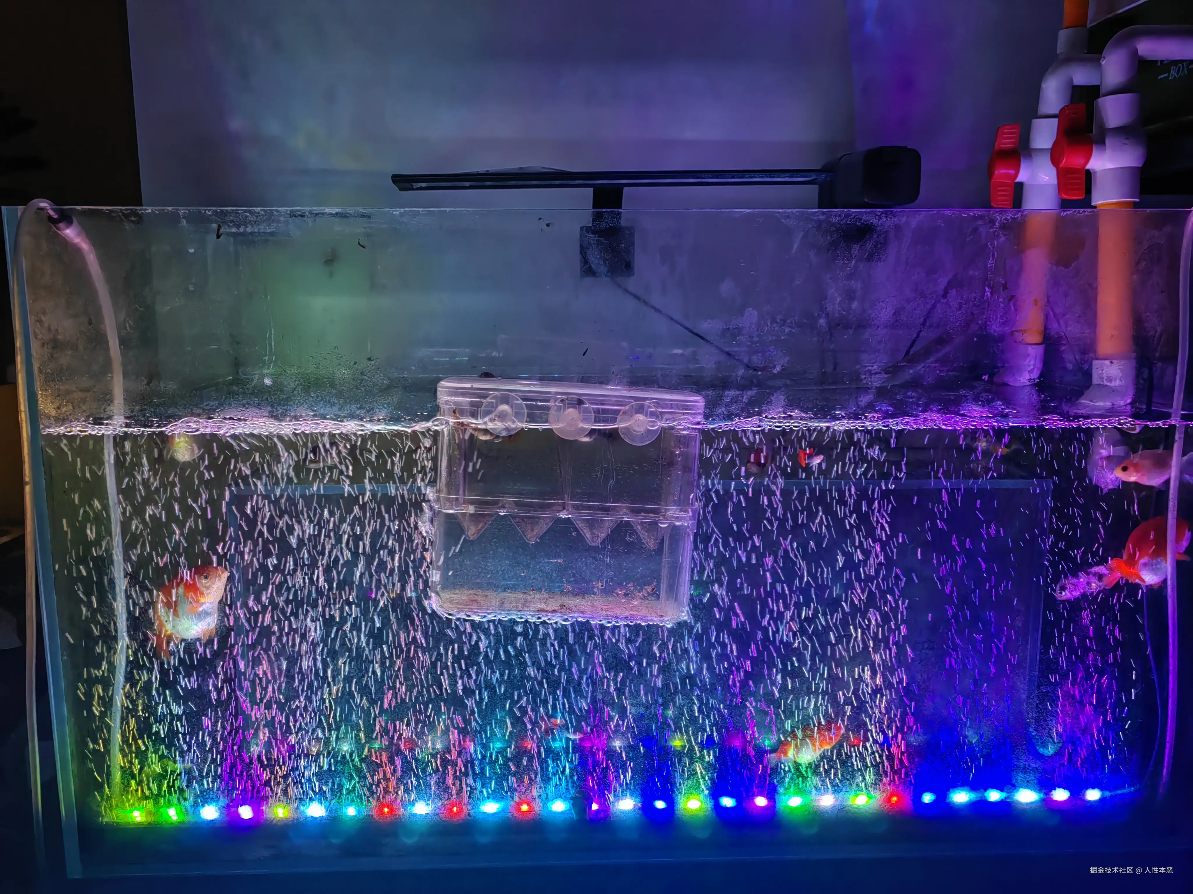 人性本恶于2025-07-04 10:46发布的图片